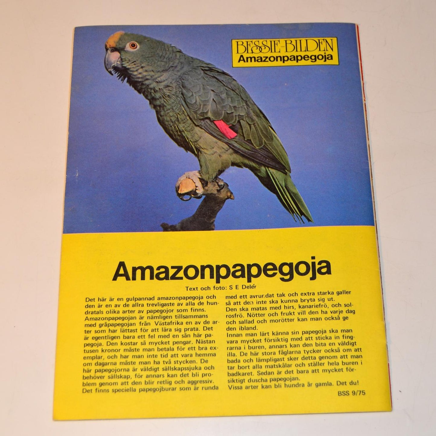 Bessie Nr 9 1975 #FN#