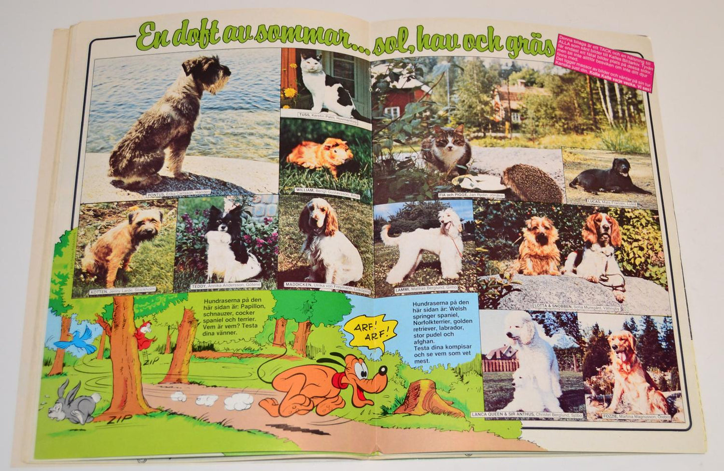 Kalle Anka & Co Nr 15 1982 #GD# + Bilaga