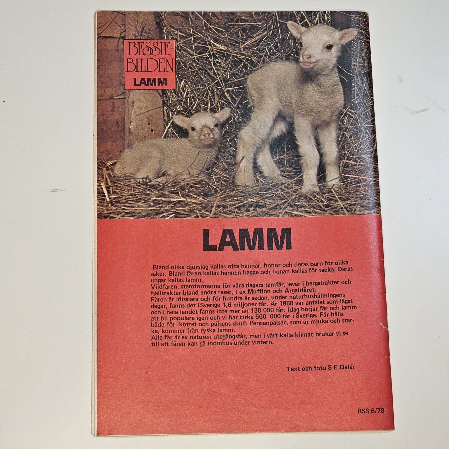 Bessie Spårhunden Nr 6 1978 #FR#