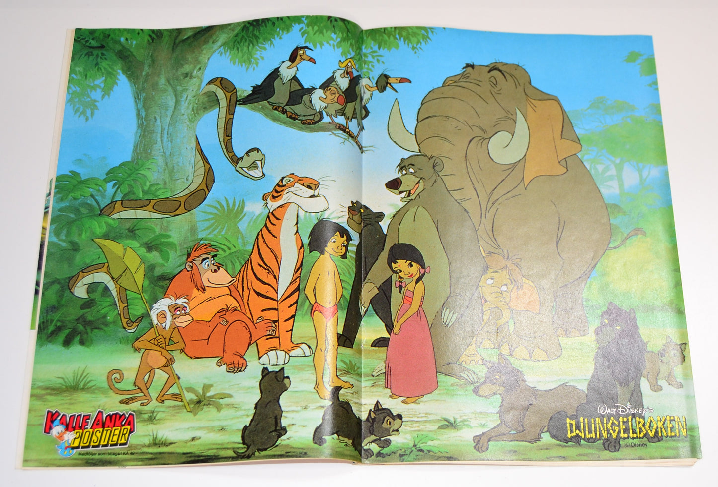 Kalle Anka & Co Nr 49 1987 #FN# + Affisch