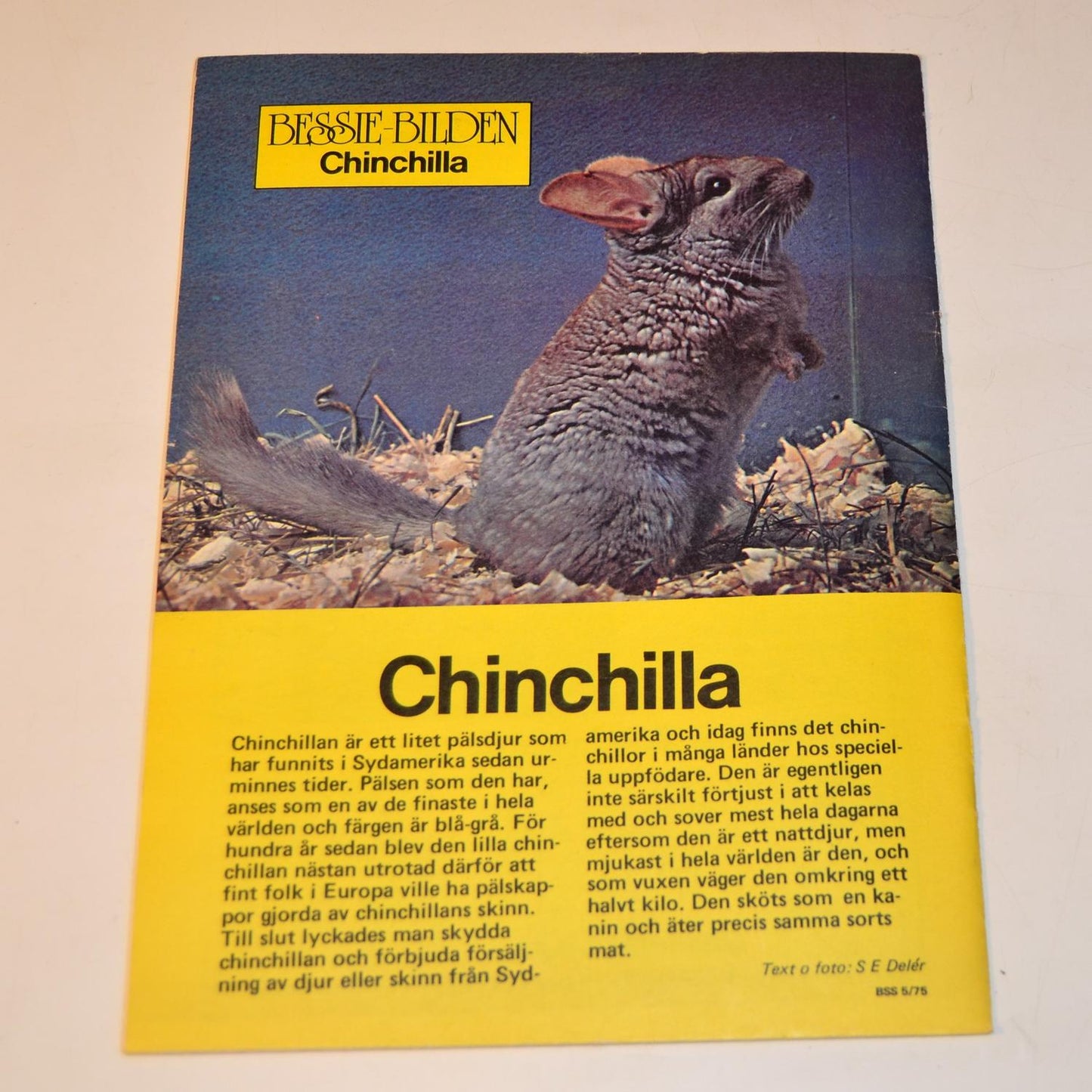 Bessie Nr 5 1975 #VF#