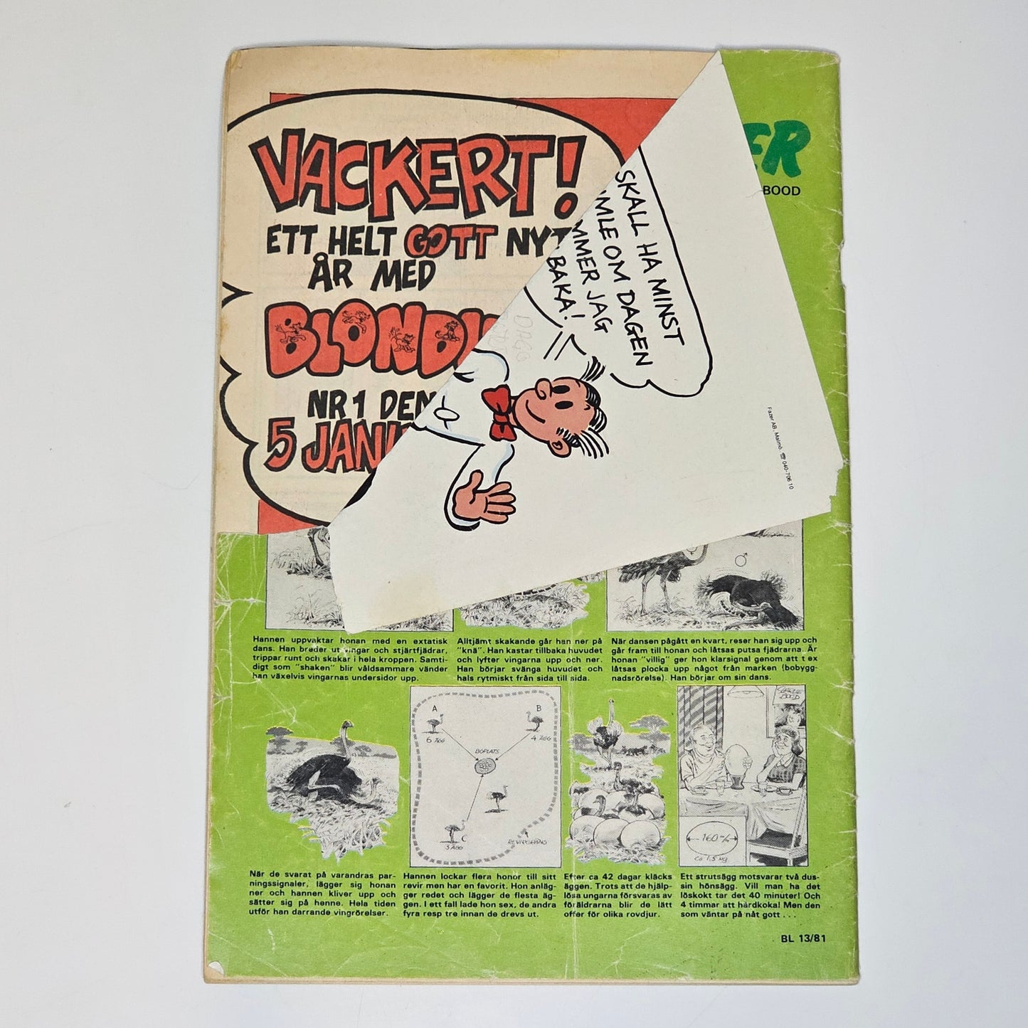 Blondie Nr 13 1981 #FR#