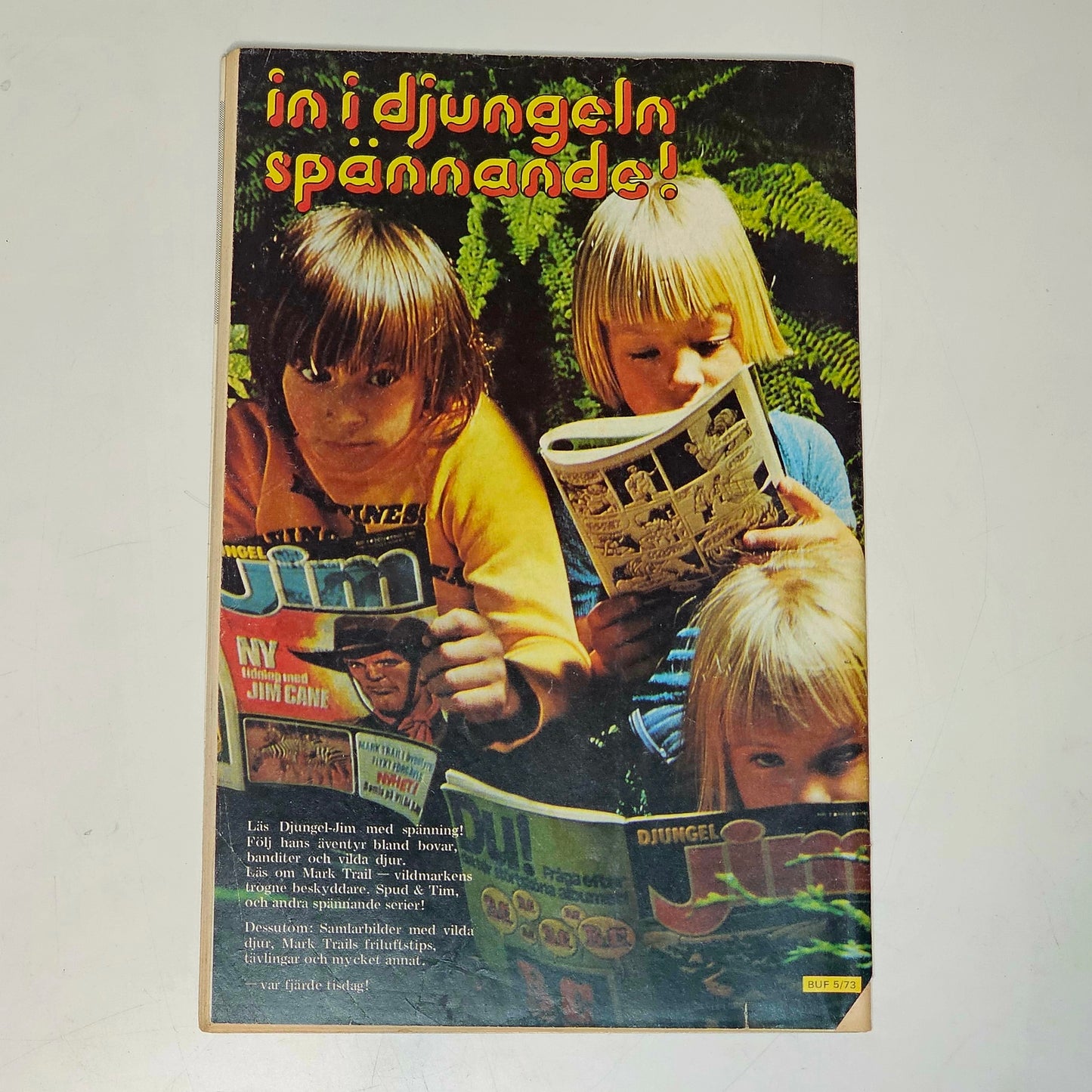 Buffalo Nr 5 1973 #VG#