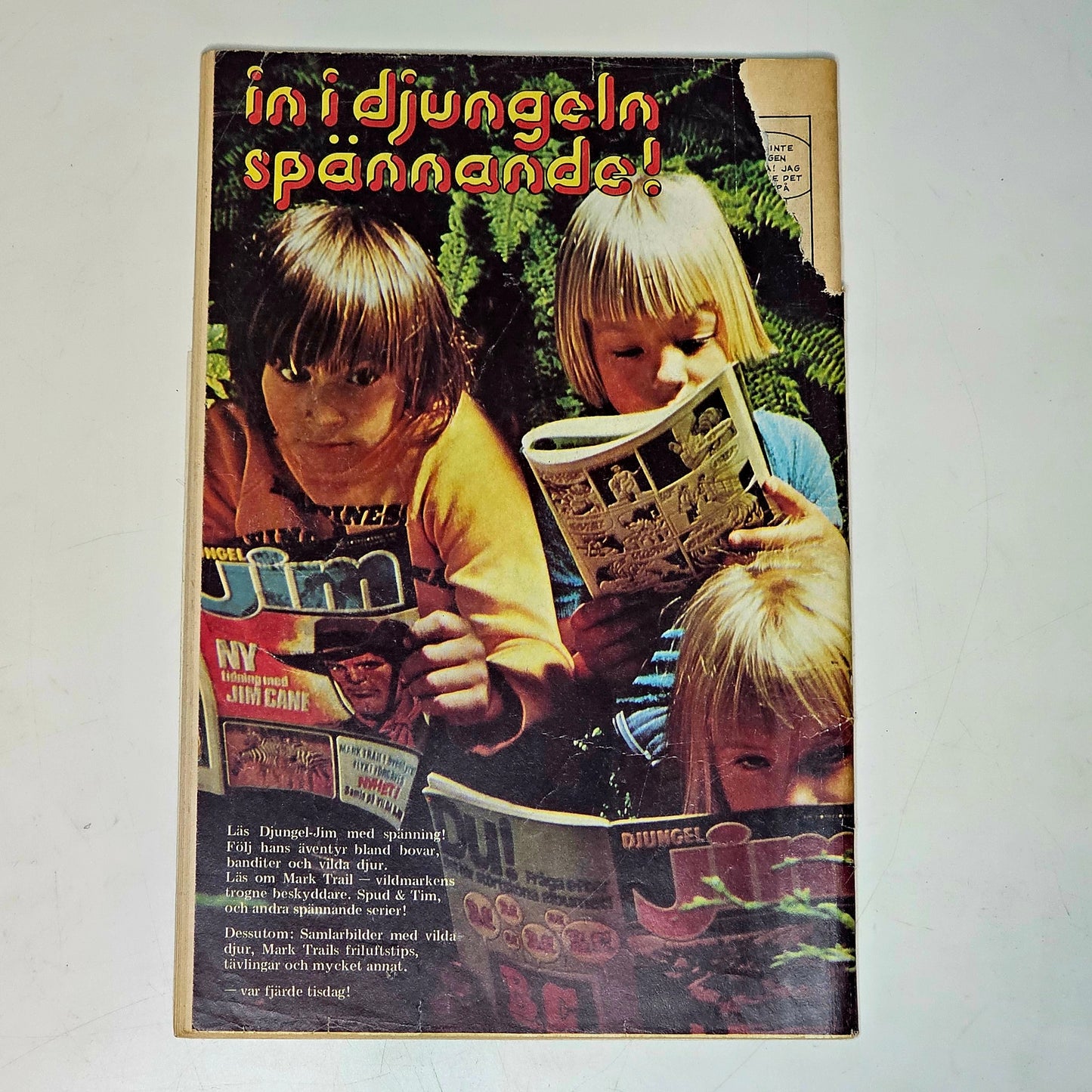 Buffalo Nr 6 1973 #FR#