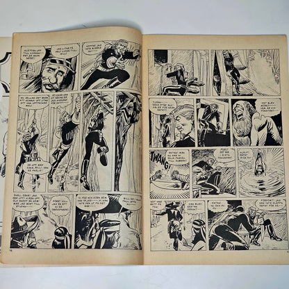 Buffalo Nr 6 1973 #FR#