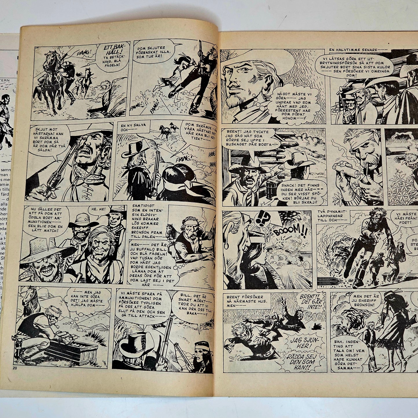 Buffalo Nr 22 1976 #GD#