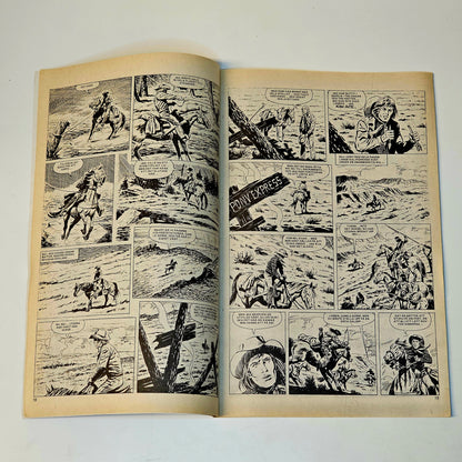 Buffalo Nr 15 1978 #FN#