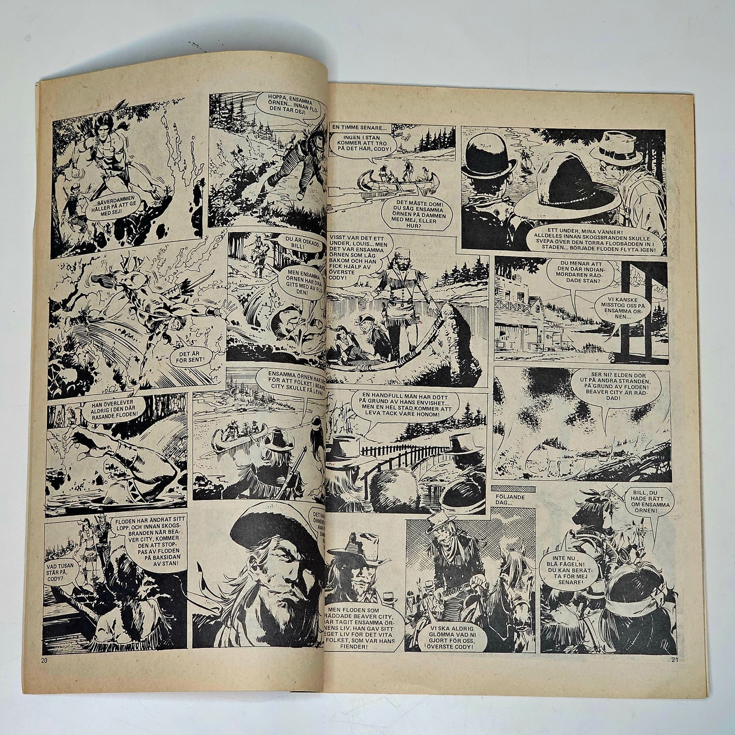 Buffalo Nr 17 1978 #FN#