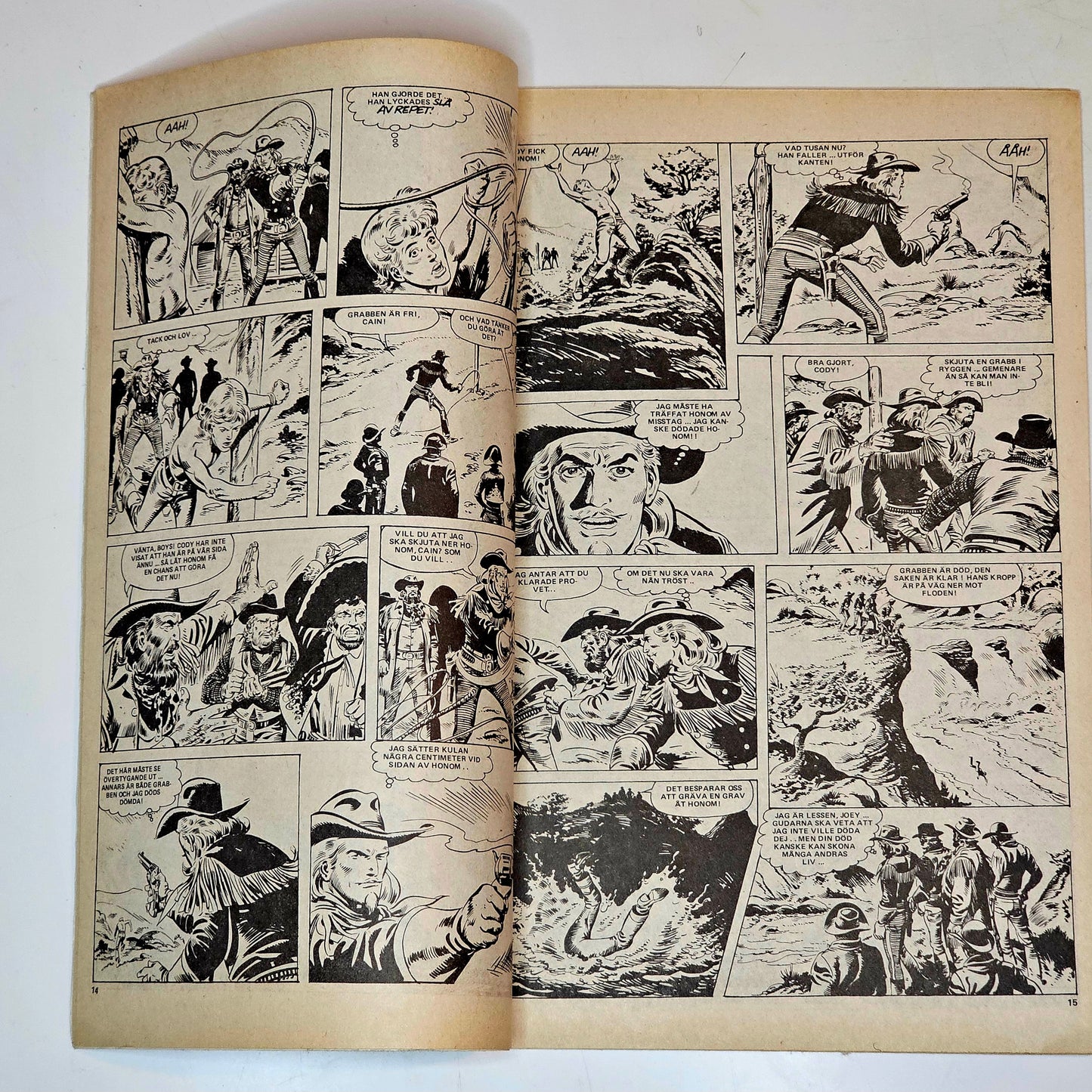 Buffalo Nr 25 1978 #VG#