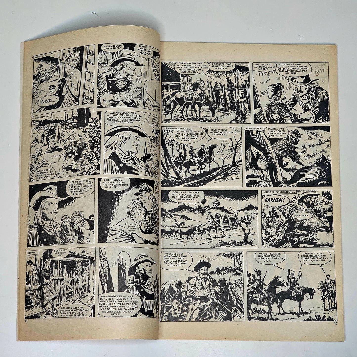 Buffalo Nr 10 1979 #FN#