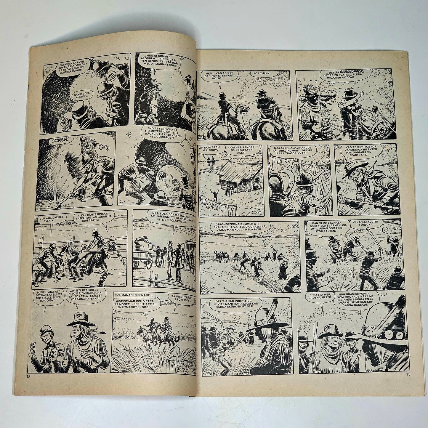 Buffalo Nr 1 1979 #FN#