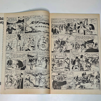 Buffalo Nr 25 1979 #VG#