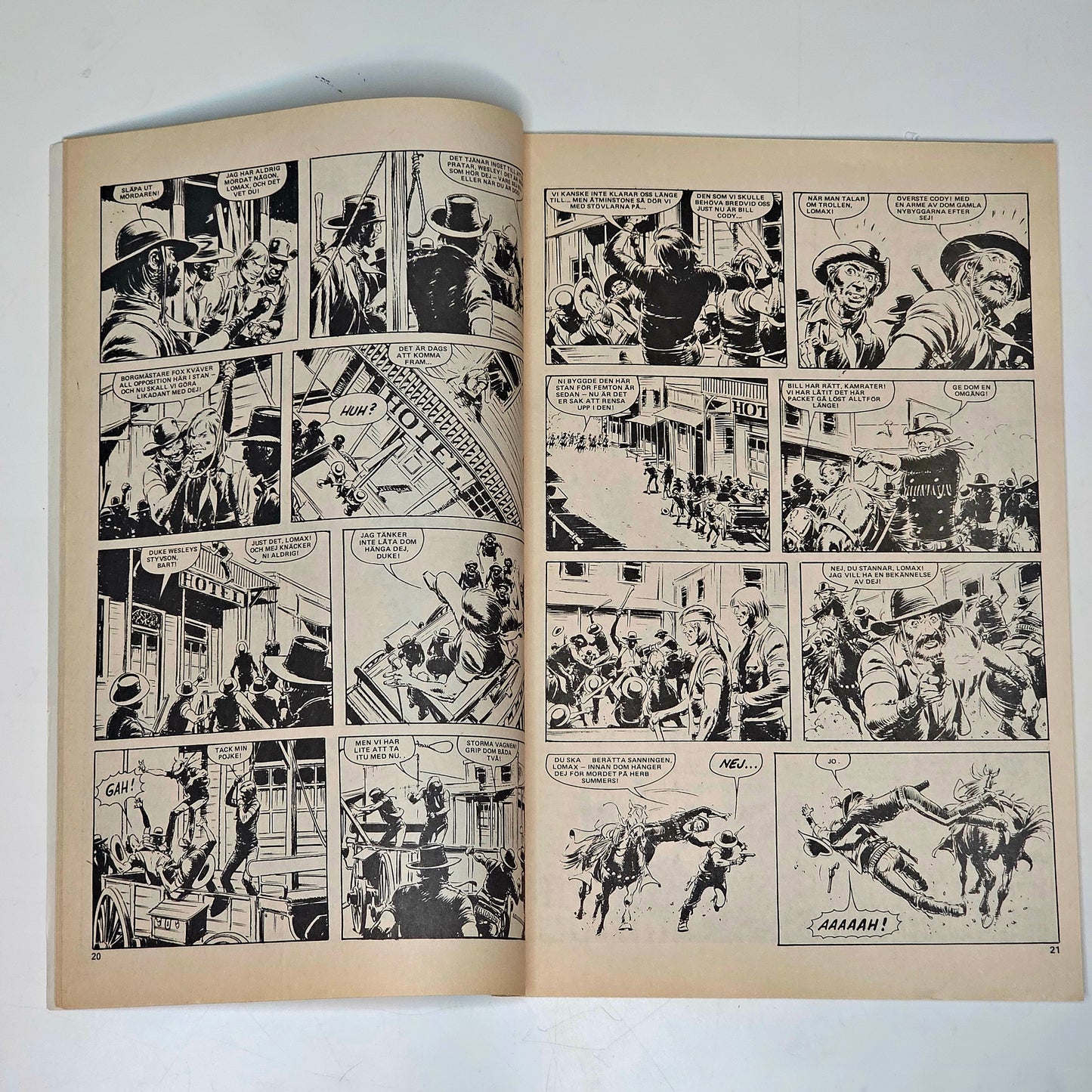 Buffalo Nr 8 1979 #FN#