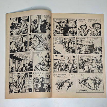 Buffalo Nr 8 1979 #FN#