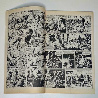 Buffalo Nr 11 1980 #VG#