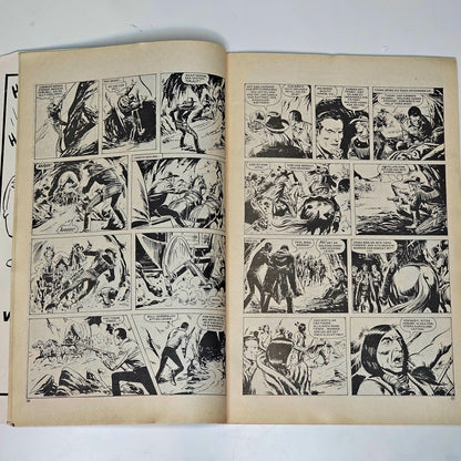 Buffalo Nr 17 1980 #FN#