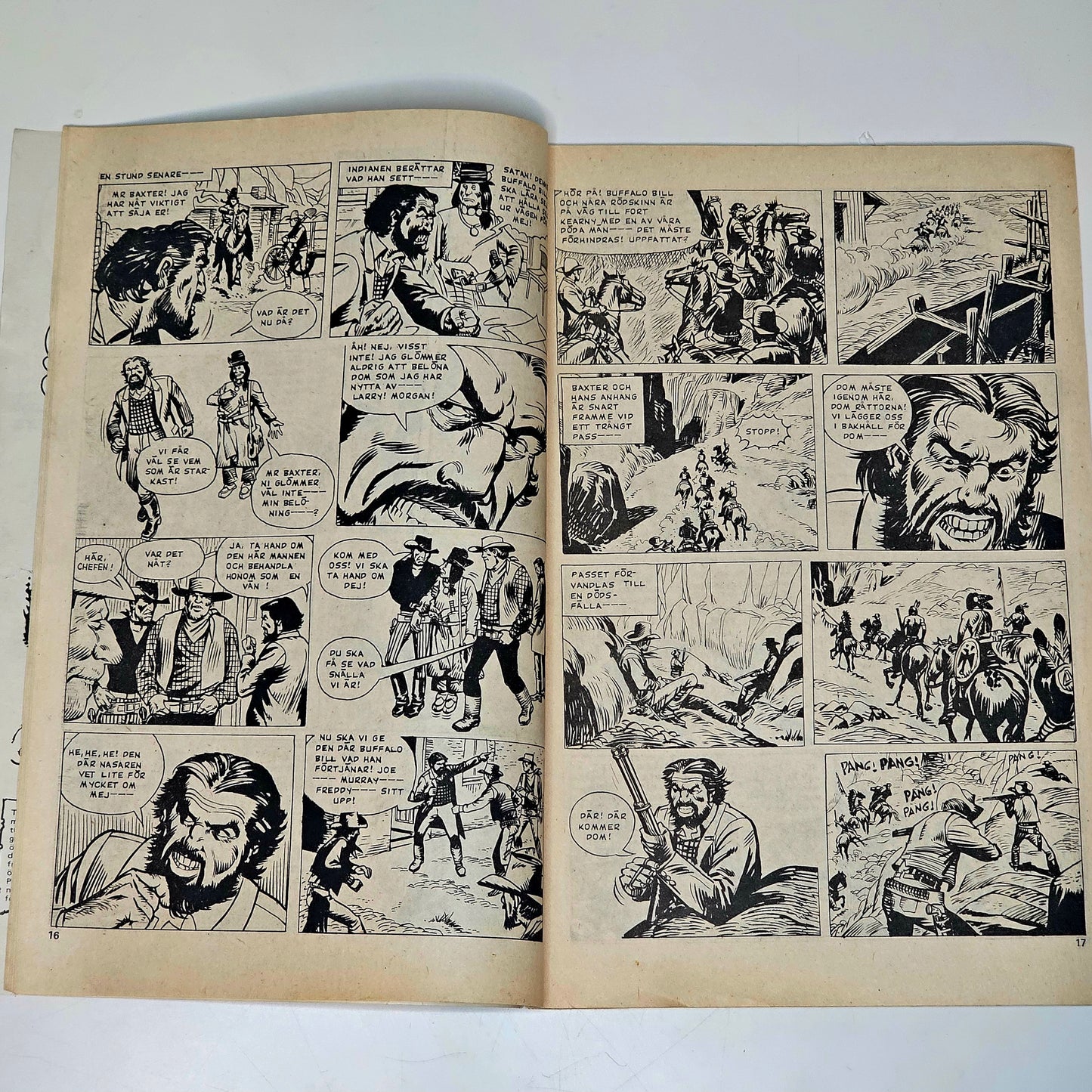 Buffalo Nr 8 1977 #FN#