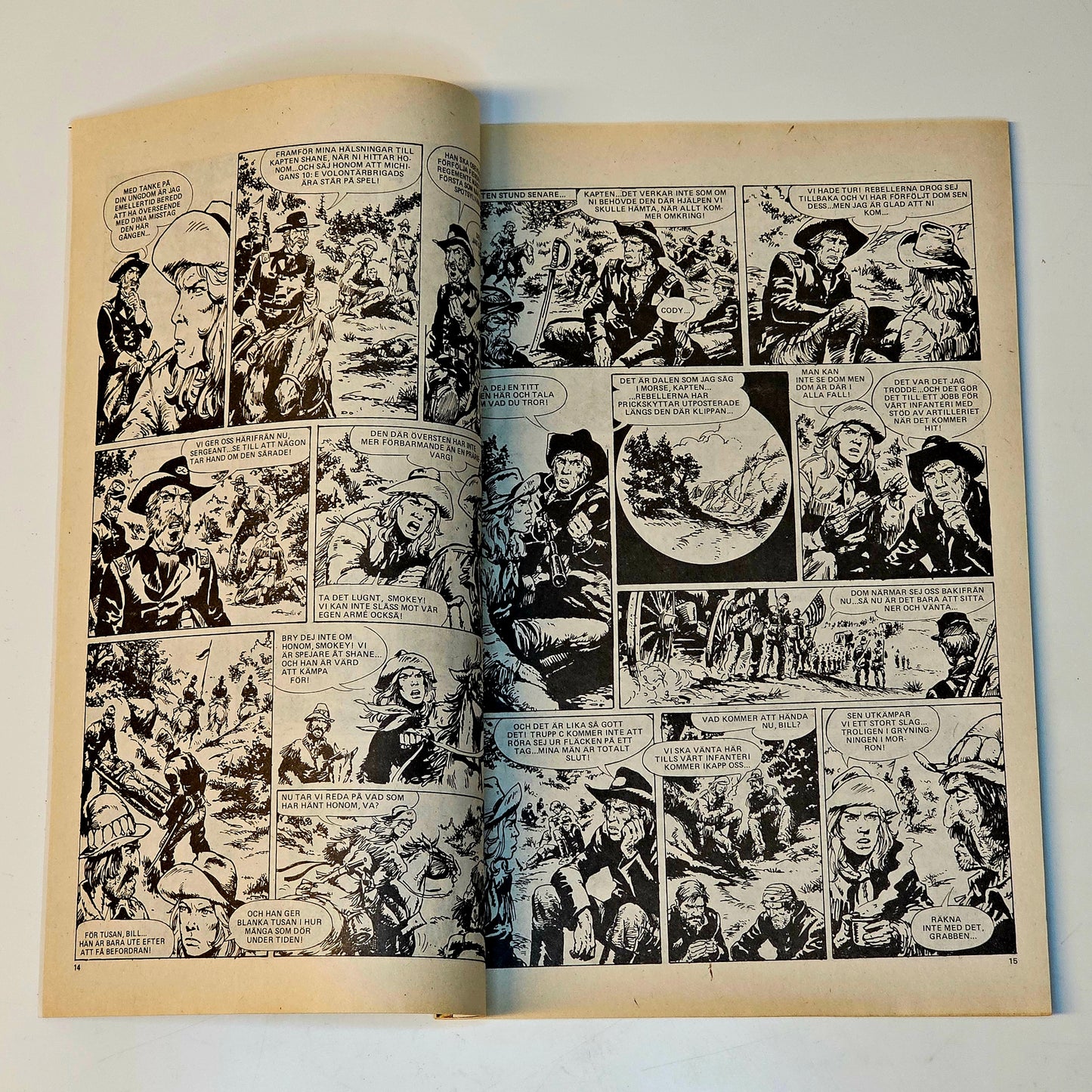 Buffalo Nr 13 1978 #FN#