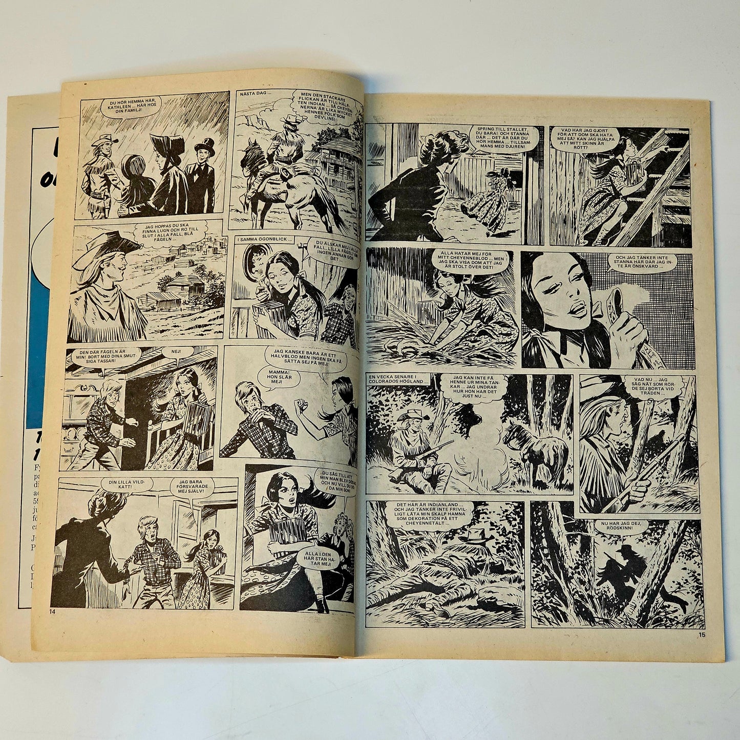 Buffalo Nr 21 1978 #FN#