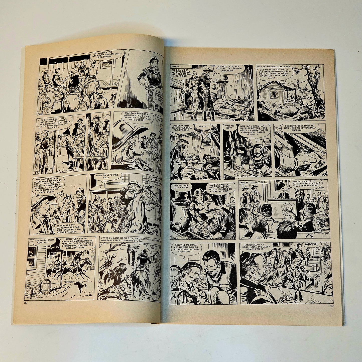 Buffalo Nr 12 1979 #FN#