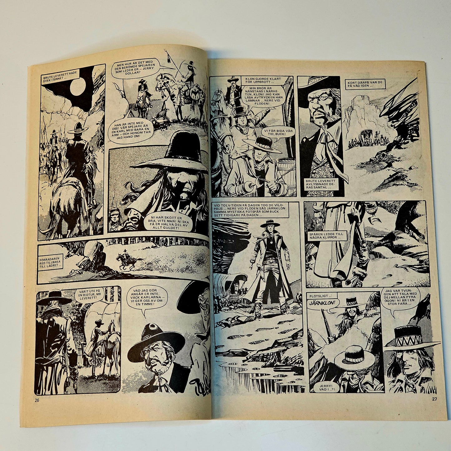 Buffalo Nr 13 1979 #FN#