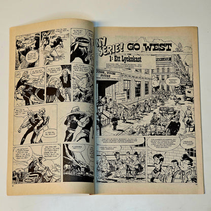 Buffalo Nr 14 1979 #FN#