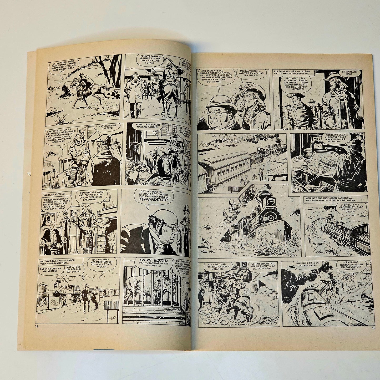 Buffalo Nr 17 1979 #FN#