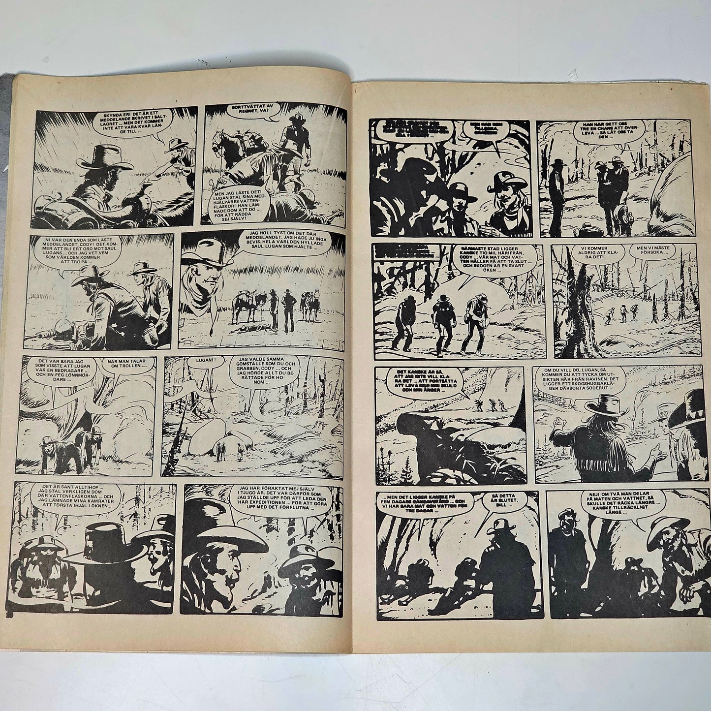 Buffalo Nr 19 1979 #VG#