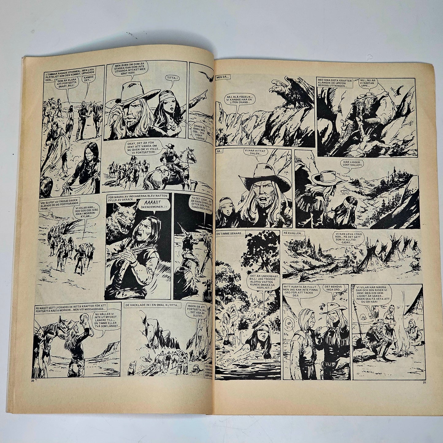 Buffalo Nr 15 1980 #FN#