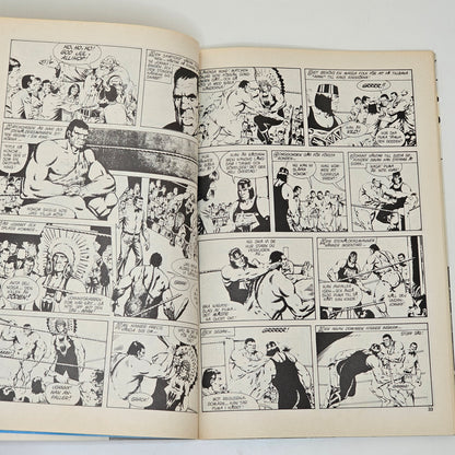 Buster Sportspecial 1980 #VG#