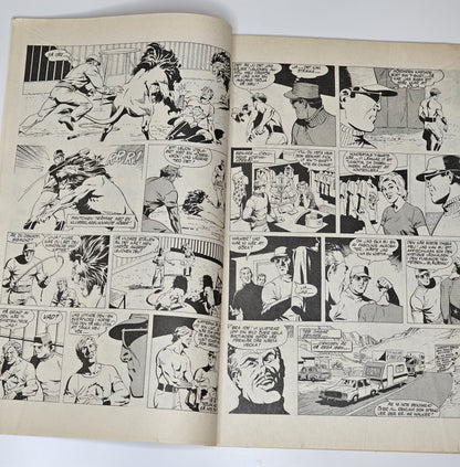 Fantomen Nr 22 1981 #FN#