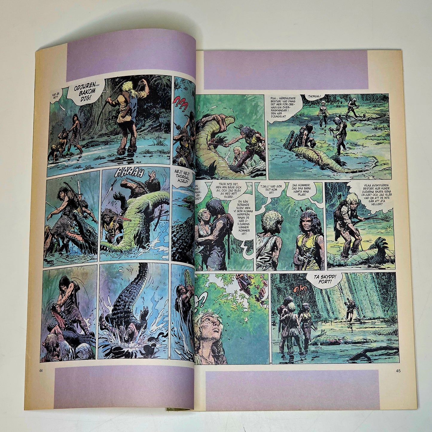 Fantomen Nr 12-13 2010 #FN#