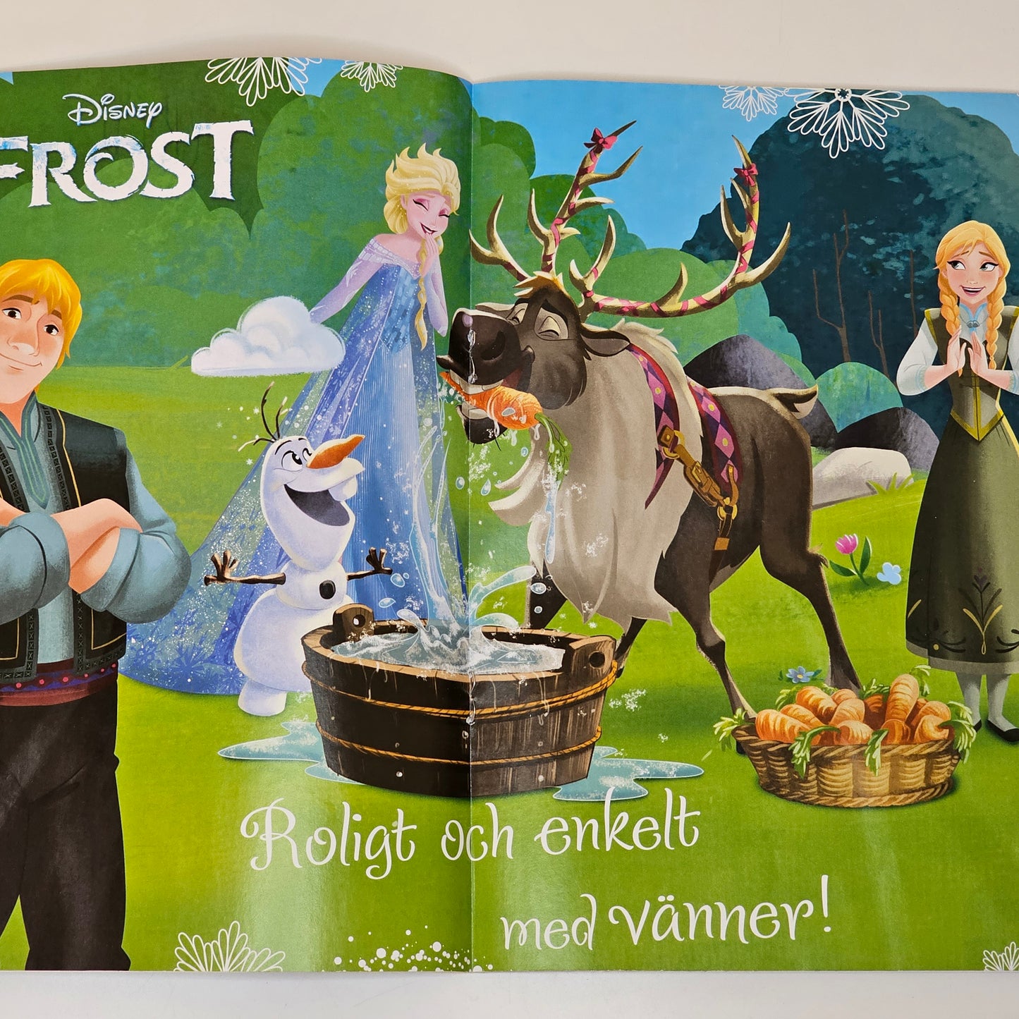 Frost 2019 #FN# + Affisch