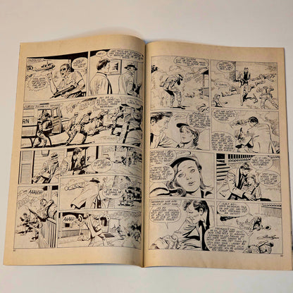 Helgonet Nr 13 1984 #FN#