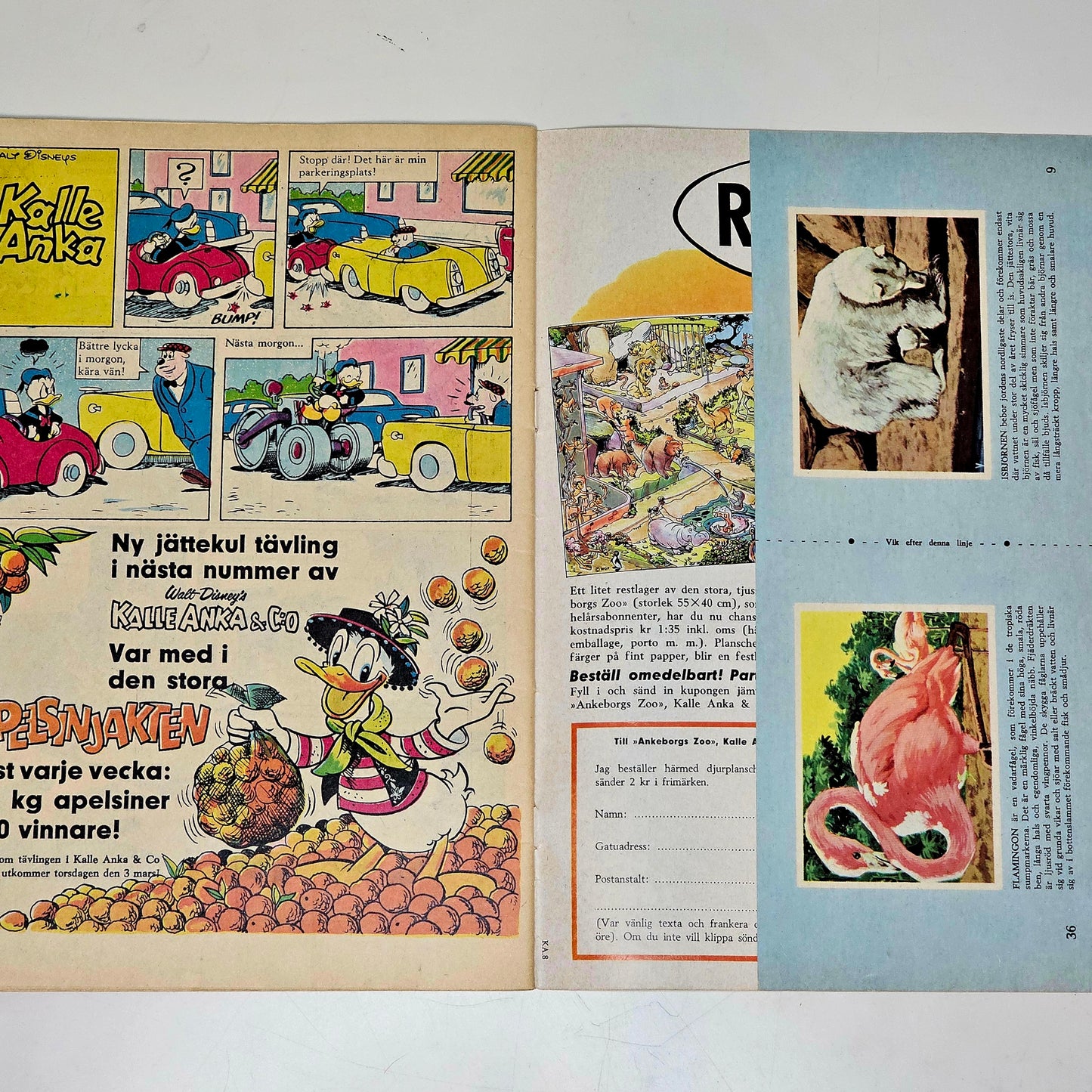 Kalle Anka & Co Nr 8 1966 #FN#