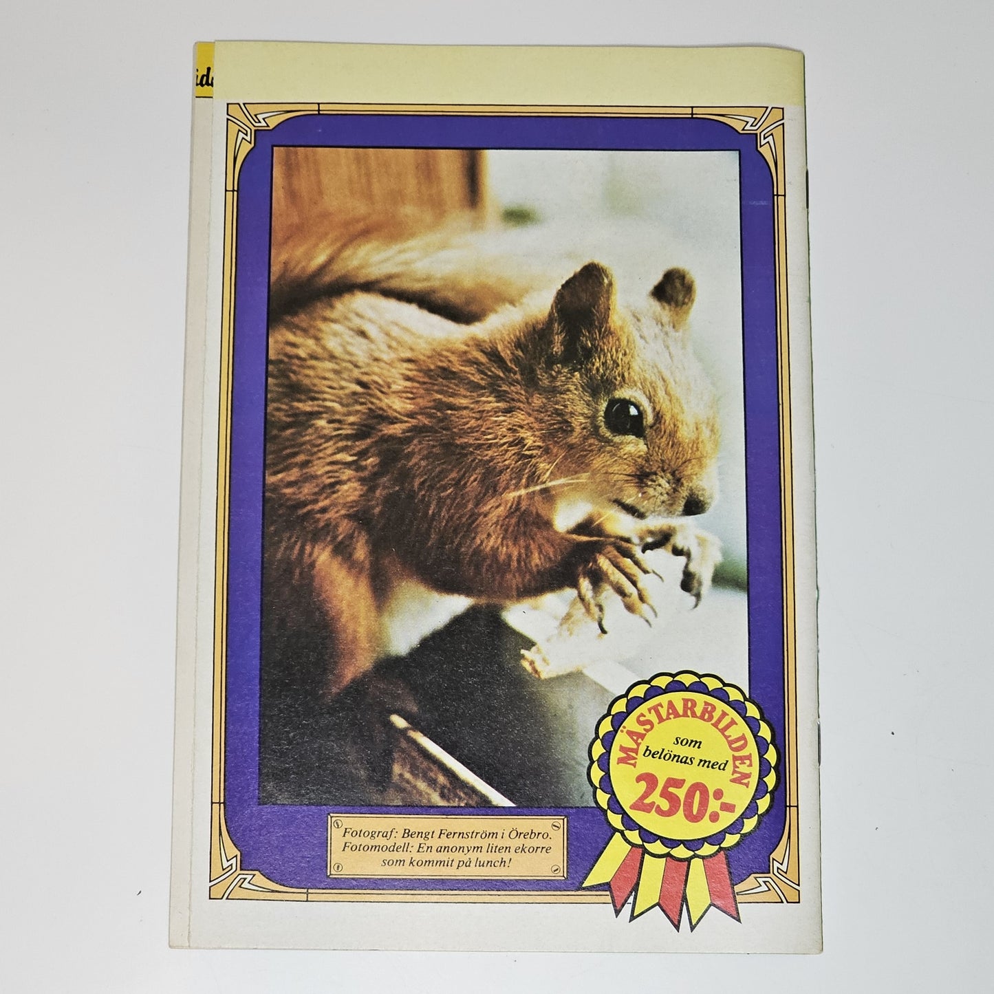 Kalle Anka & Co Nr 11 1981 #VF#