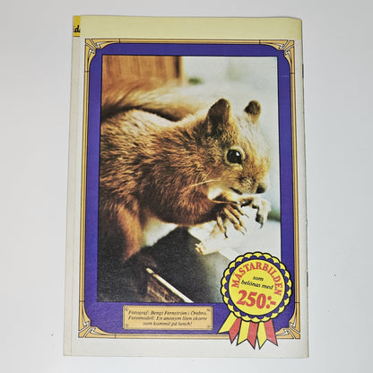 Kalle Anka & Co Nr 11 1981 #VF#