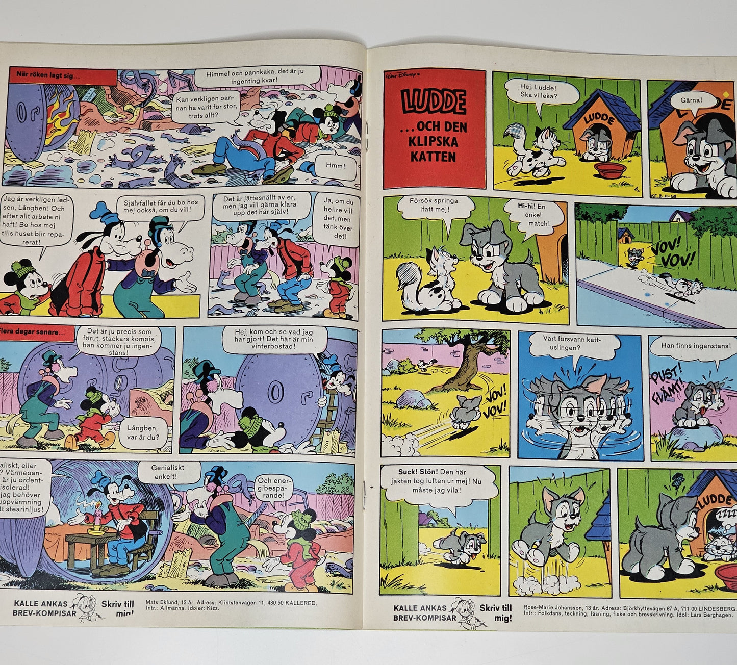 Kalle Anka & Co Nr 11 1981 #VF#