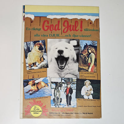 Kalle Anka & Co Nr 52 1981 #FN#