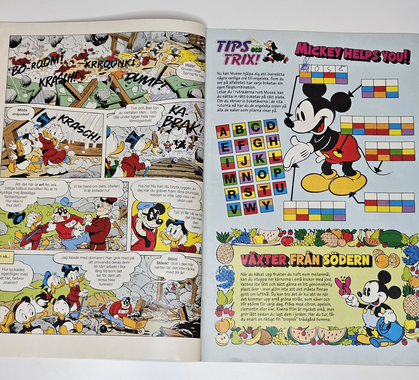 Kalle Anka & Co Nr 6 1993 #FR#