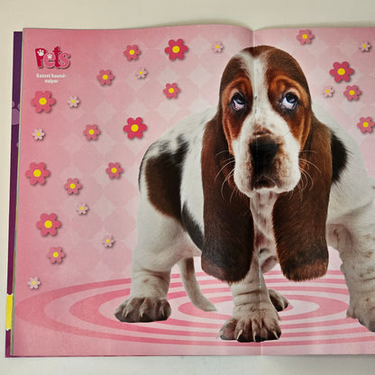 Pet Nr 2-3 2020 #FN# + Affisch