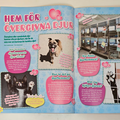 Pet Nr 2-3 2020 #FN# + Affisch