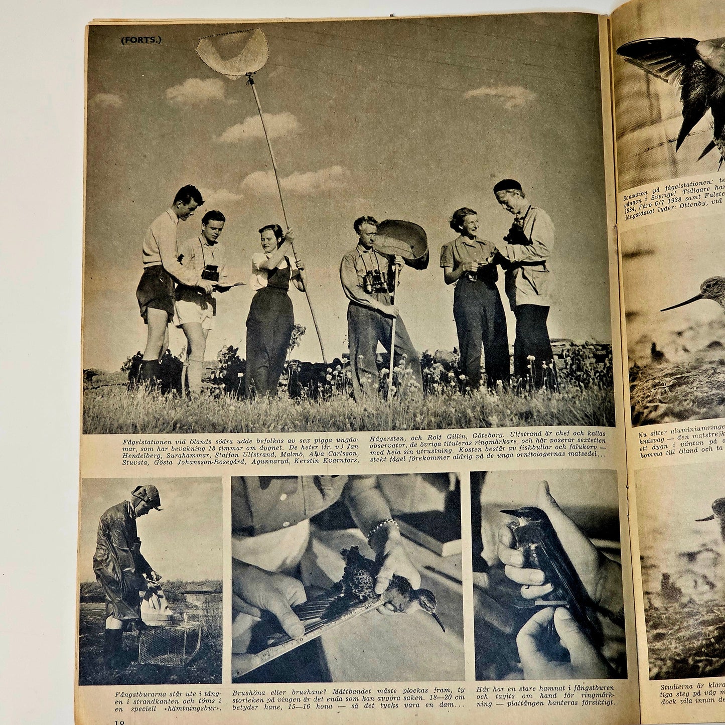 Tidningen SE Nr 34 1950 #FN#