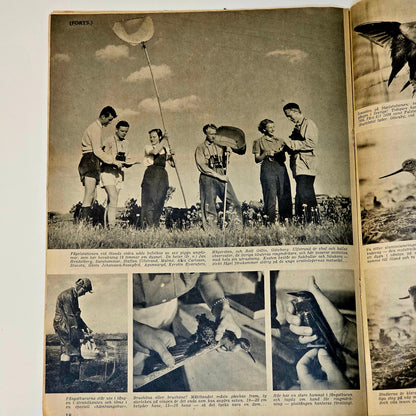 Tidningen SE Nr 34 1950 #FN#