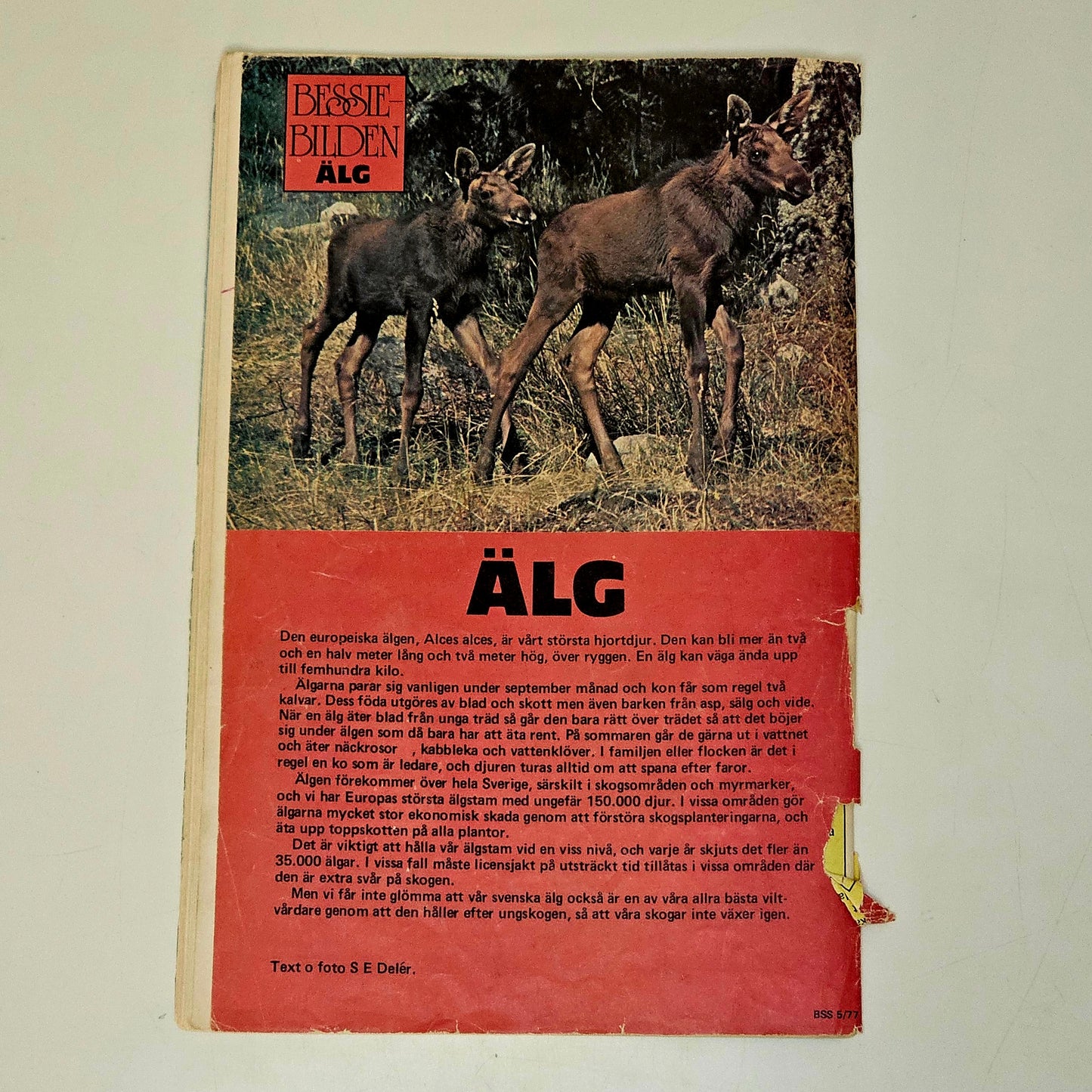 Bessie Spårhunden Nr 5 1977 #FR#