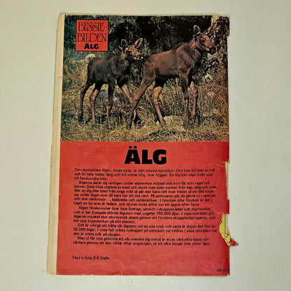 Bessie Spårhunden Nr 5 1977 #FR#