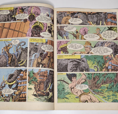 Tarzan Nr 19 1981 #VG#